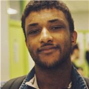 Professeur de français natif donne cours de soutien à Vannes